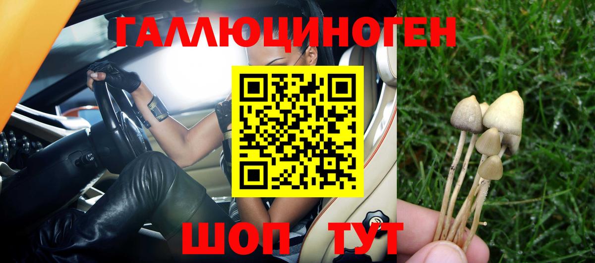 Псилоцибиновые грибы GOLDEN TEACHER  Вход с VPN  Галлюциногенные грибы мухоморы  Нововоронеж 
